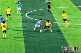 湖南造列车助力世界杯 每日预计载客超125万